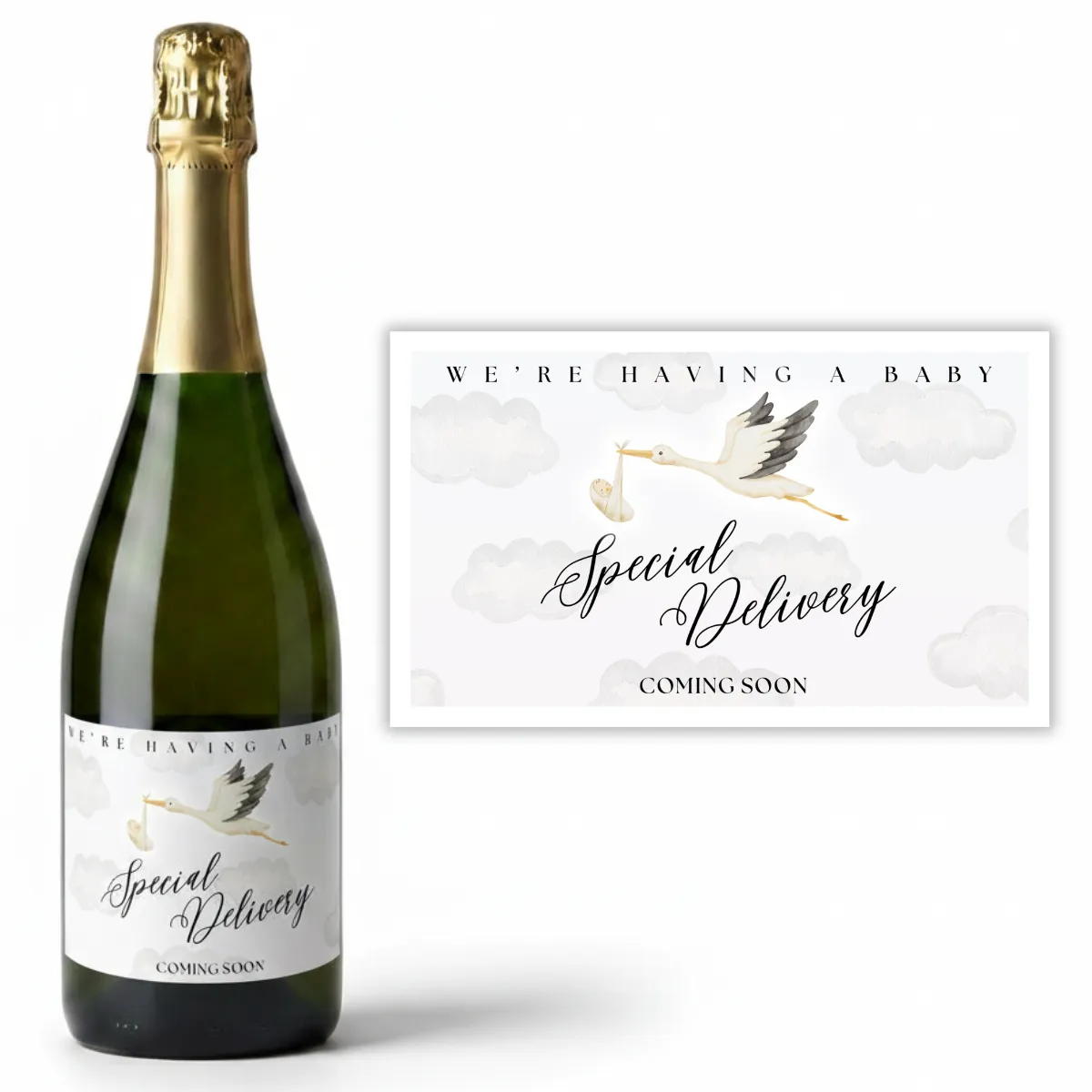 Baby Stork Wine Labels (4.75x3.75) Image 1